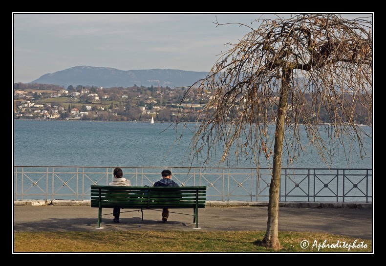 161 Le coteau de Cologny vu du parc Perle du Lac
